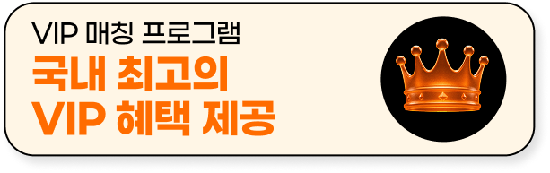 VIP 매칭 프로그램, 국내 최고의 VIP 혜택 제공